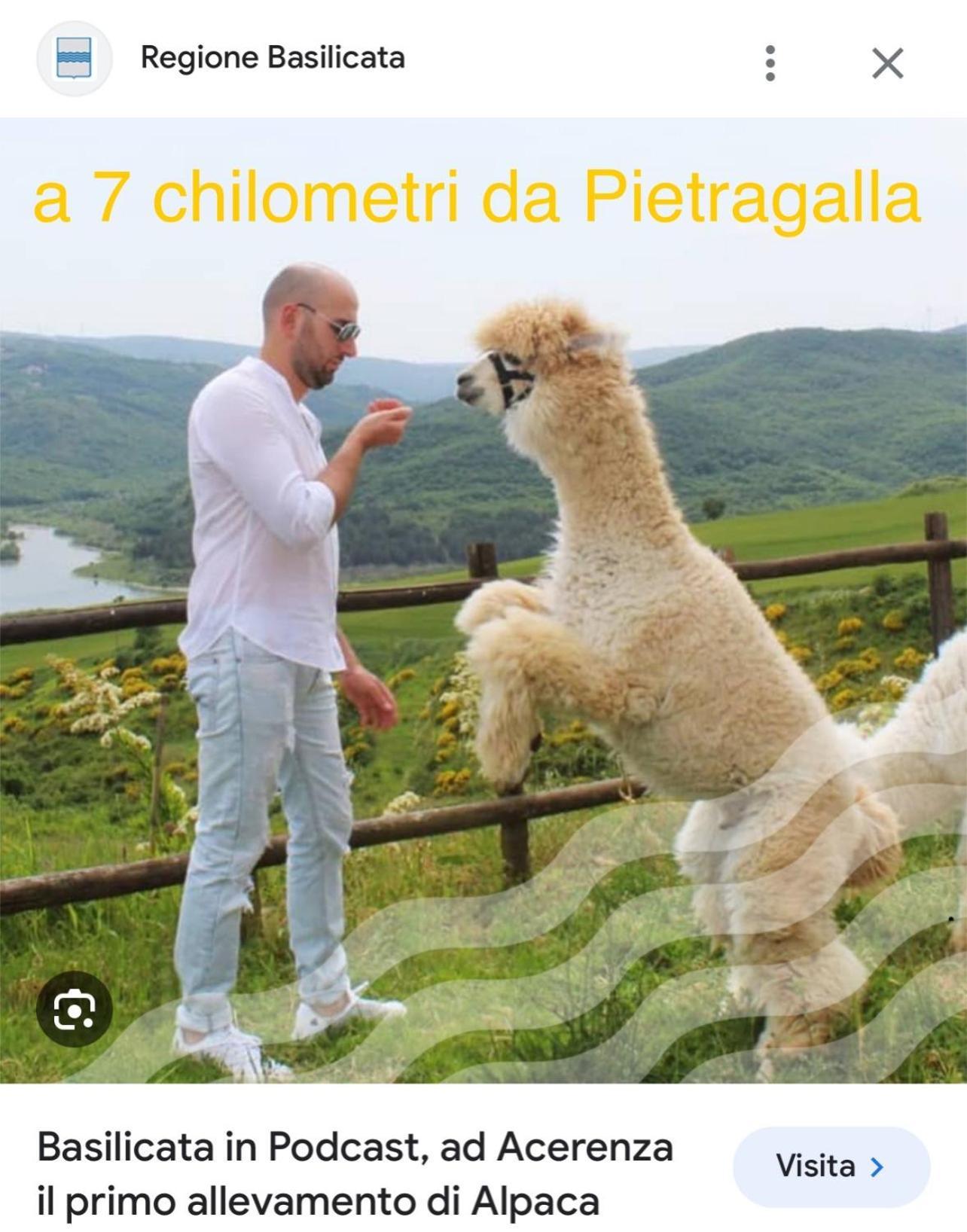 La Casa Dell'Artista Di Vittorio Vertone Pietragalla Exterior foto